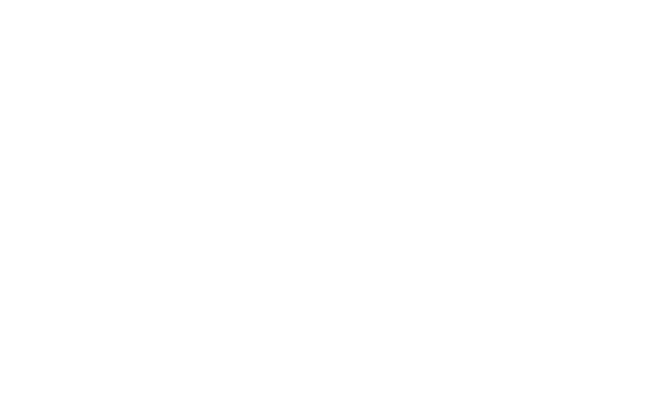 Pit Stop logo with crossed checkered flags